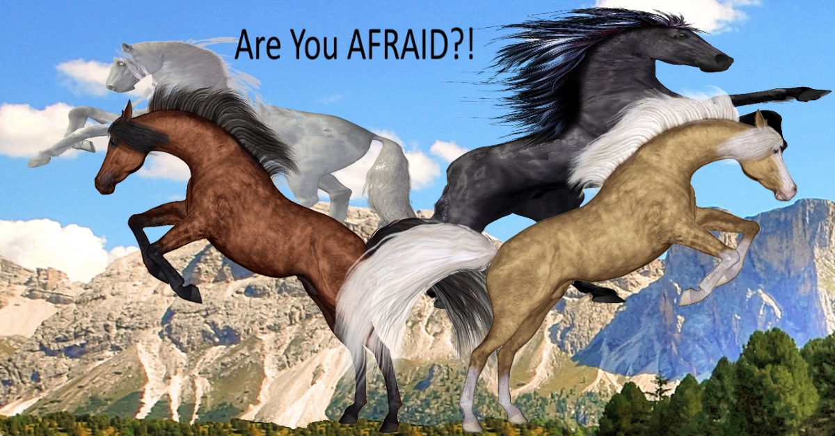 Are You AFRAID?!