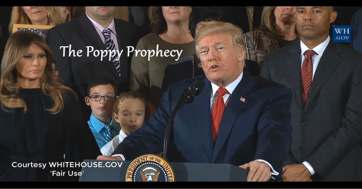 The Poppy Prophecy